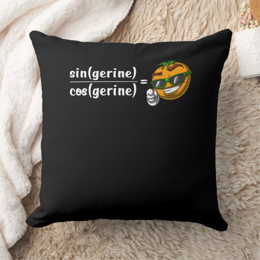 Wiskunde Algebra Tangerine Funny Science Joke Kussen (Deken)