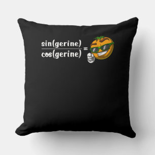 Wiskunde Algebra Tangerine Funny Science Joke Kussen