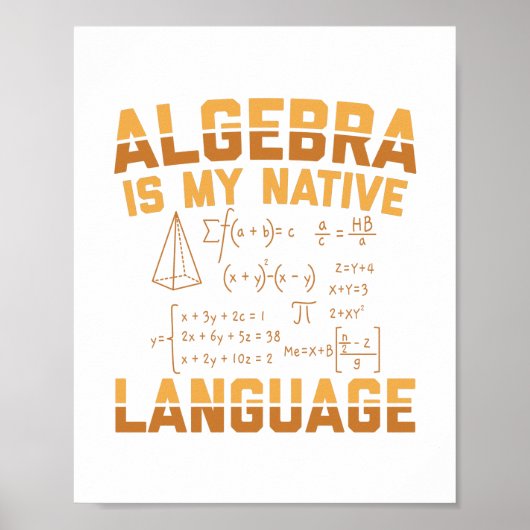 wiskunde algebra | wiskundedocent Giften Poster (Voorkant)