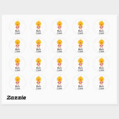 Wiskunde Chick Stickers (Vel)