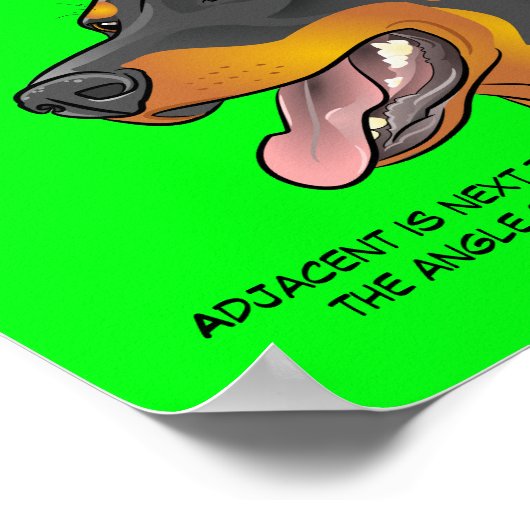 Wiskunde Dog Colorful Trigonometry Doberman Poster (Hoek)