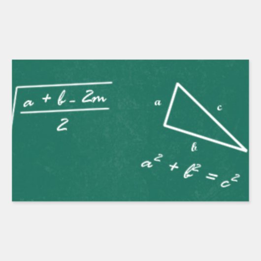 wiskunde leraar algebra geek rechthoekige sticker (Voorkant)
