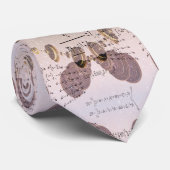 Wiskunde leren. Onderwijsconcept Stropdas (Opgerold)