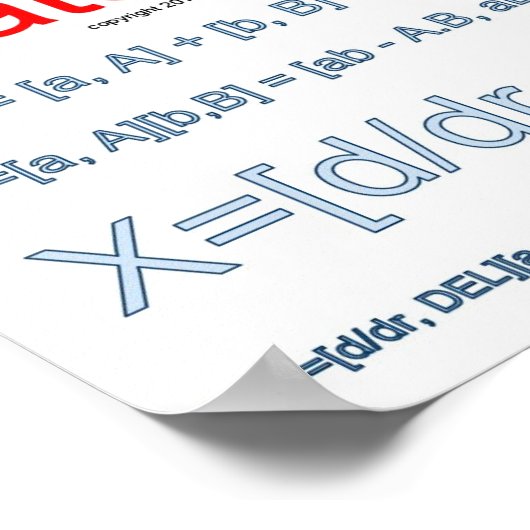 Wiskunde regels! poster (Hoek)