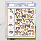 Wiskunde Werkblad Count the Animals & Vehicles Kin (Voorkant / Achterkant)