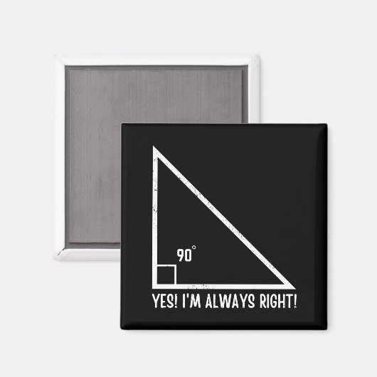 Wiskunde/wiskunde leraar grappigheid magneet (Voorkant / Achterkant)