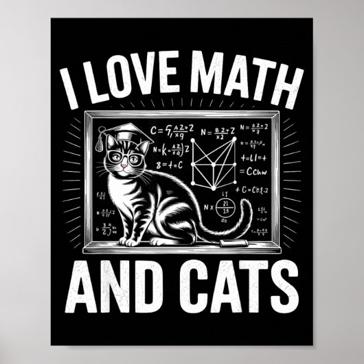 Wiskundekattenliefhebber Funny Math Leraar Ik hou Poster (Voorkant)
