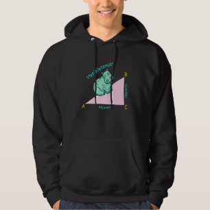 Wiskundeleraar wiskundige hypotenusa hoodie