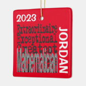 Wiskundige Extraordinaire CUSTOM Keramisch Ornament (Links)