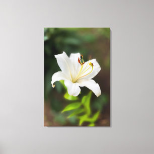 Wislichtwitte lib canvas afdruk
