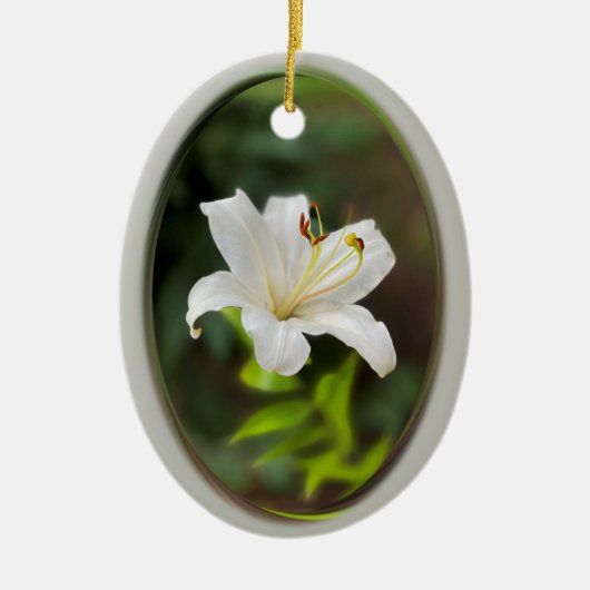 Wislichtwitte lib keramisch ornament (Voorkant)