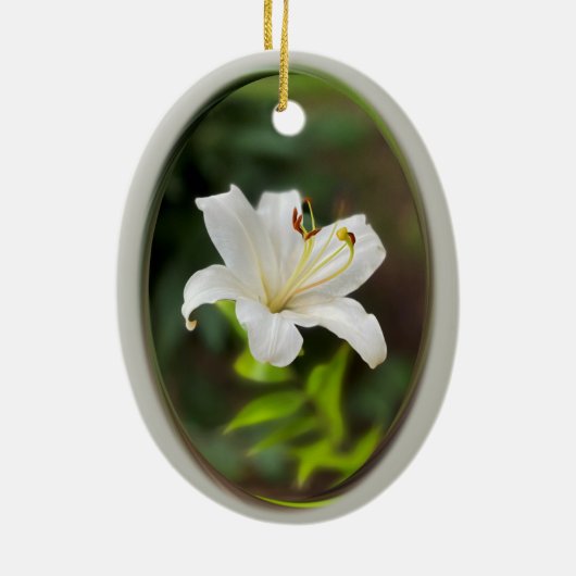 Wislichtwitte lib keramisch ornament (Achterkant)