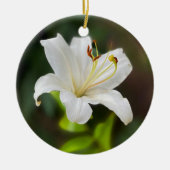 Wislichtwitte lib keramisch ornament (Voorkant)