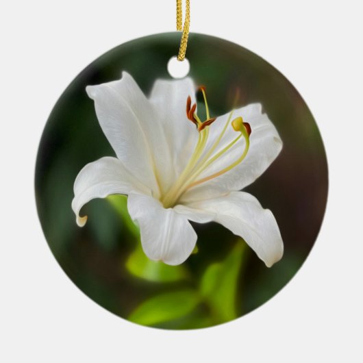 Wislichtwitte lib keramisch ornament (Voorkant)