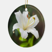 Wislichtwitte lib keramisch ornament (Links)