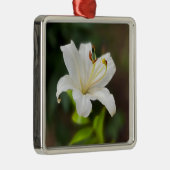 Wislichtwitte lib metalen ornament (Rechts)