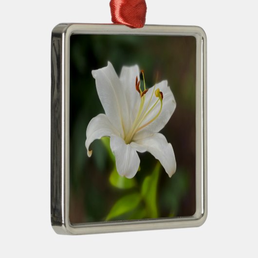 Wislichtwitte lib metalen ornament (Rechts)