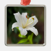 Wislichtwitte lib metalen ornament (Voorkant)