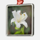 Wislichtwitte lib metalen ornament (Links)