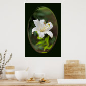 Wislichtwitte lib poster (Keuken)