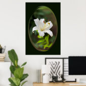 Wislichtwitte lib poster (Thuiskantoor)