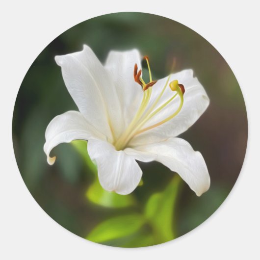 Wislichtwitte lib ronde sticker (Voorkant)