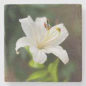 Wislichtwitte lib stenen onderzetter (Voorkant)