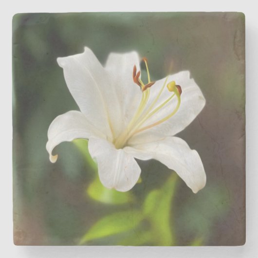 Wislichtwitte lib stenen onderzetter (Voorkant)