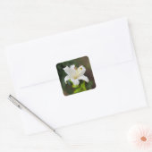 Wislichtwitte lib vierkante sticker (Envelop)