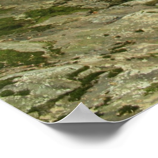 Wisperende Herfsten Poster (Hoek)