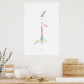 Wissel Choreografie: Grapevine, TX, VS Poster (Keuken)