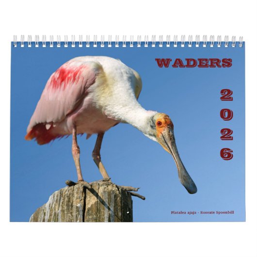 wisselaarkalender kalender (Hoes)
