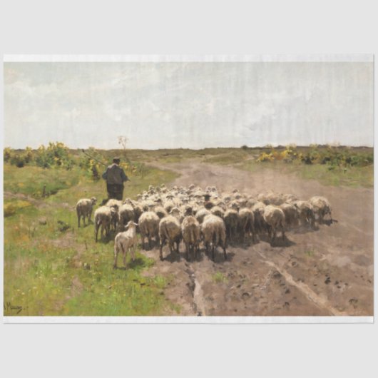 Wisselende weide, 1887 door Anton Mauve Tissuepapier (Voorkant)