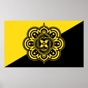 Wisselstroomvlag afdrukken poster