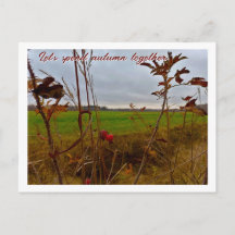 Wisselvallige late herfst: rode rozenbottels en gr