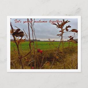 Wisselvallige late herfst: rode rozenbottels en gr briefkaart