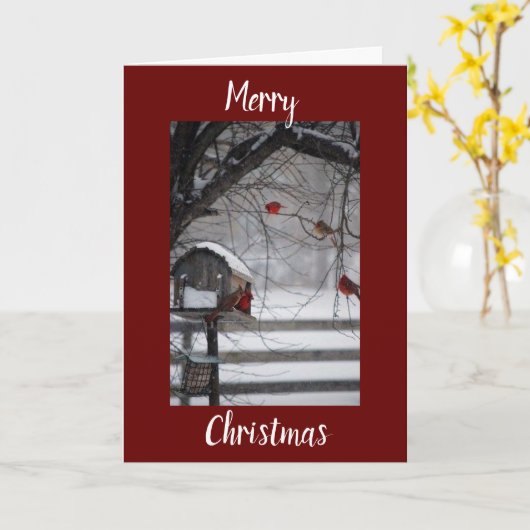 WISSEN VOOR PLATTELANDSWINTER OF LANDBOUWWINTER KAART (Gele Bloem)