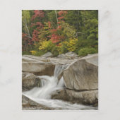 Wisserivier die door rotsen stroomt, wit briefkaart (Voorkant)