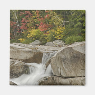 Wisserivier die door stenen stroomt, wit magneet