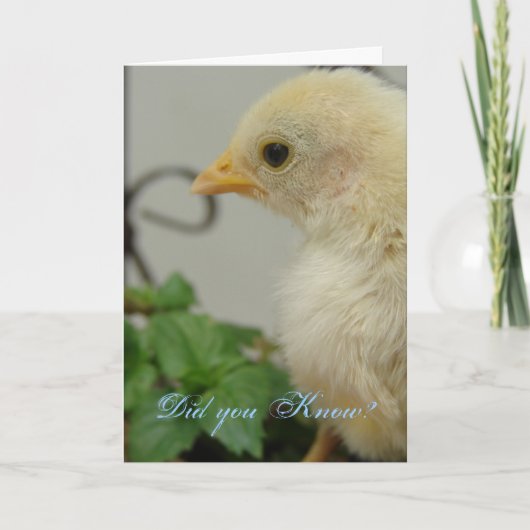 Wist je dat? One Hot Chick, jarig Kaart (Voorkant)