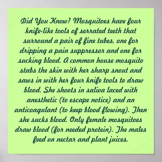 Wist je dat? poster (Voorkant)