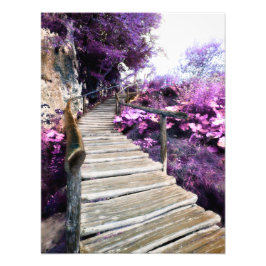 wistaartrappen foto afdruk