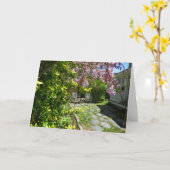 Wisteria and Rocking Chairs - Martha's Vineyard Kaart (Gele Bloem)