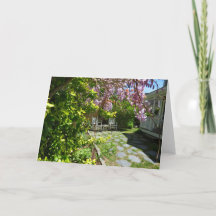 Wisteria and Rocking Chairs - Martha's Vineyard