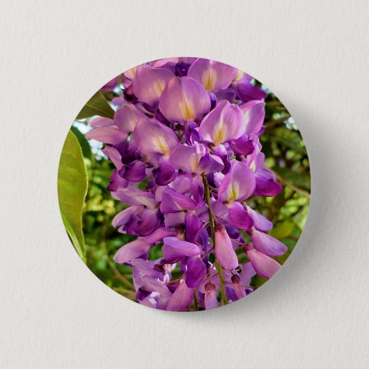 Wisteria Bloom Badge Ronde Button 5,7 Cm (Voorkant)