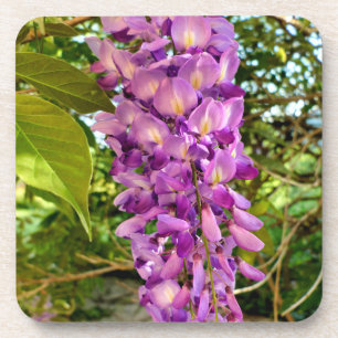 Wisteria Bloom Bier Onderzetter