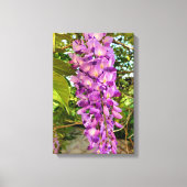 Wisteria Bloom Canvas Afdruk (Voorkant)