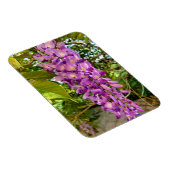 Wisteria Bloom Magneet (Rechterzijde)