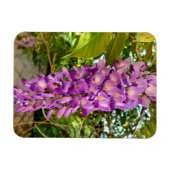 Wisteria Bloom Magneet (Horizontaal)
