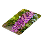 Wisteria Bloom Magneet (Linkerzijde)